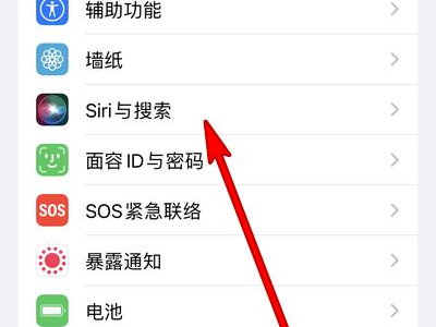 iphone怎么设置siri主人名字