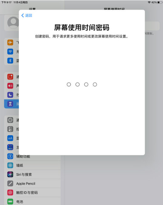 ipad青少年模式在什么地方打开