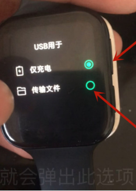 oppo watch2怎么安装第三方软件