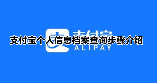 支付宝隐私保护如何查个人信息