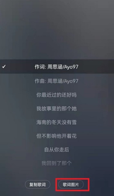 网易云音乐怎么有歌词有图片