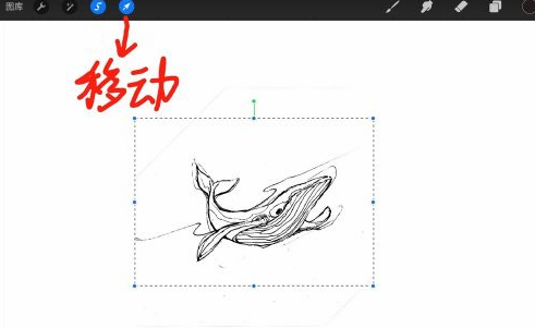 Procreate如何调整局部位置