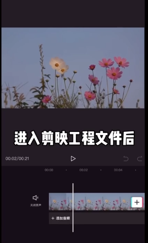 剪映裁剪在什么地方