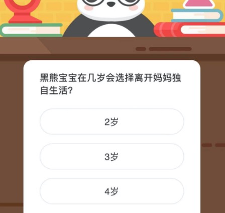 黑熊宝宝在几岁会选择离开妈妈独自生活？微博森林驿站2月14日今日答题答案