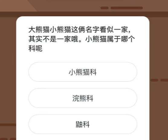 大熊猫小熊猫这俩名字看似一家，其实不是一家哦。小熊猫属于哪个科呢？微博森林驿站1月11日今日答题答案