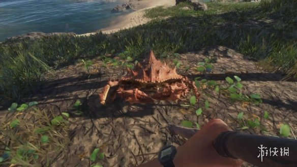 生存游戏《荒岛求生》最新更新推出！支持在线联机
