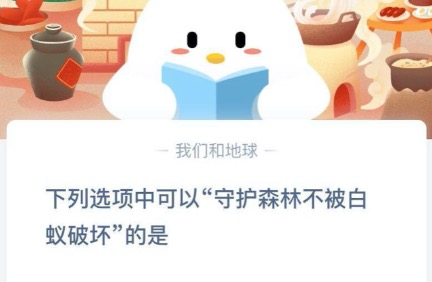 守护森林不被白蚁破坏的是什么