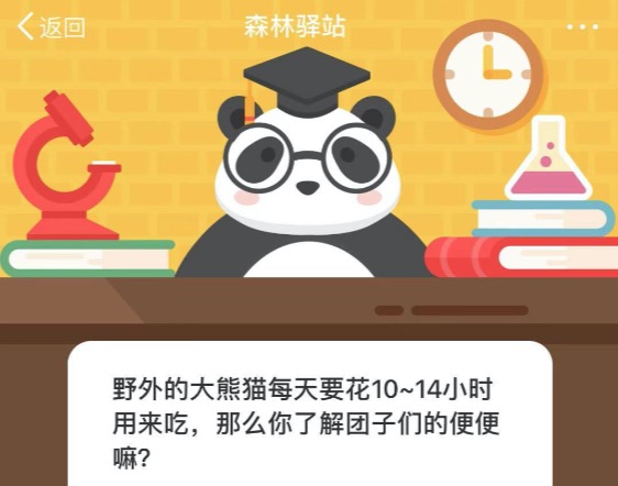 野外的大熊猫每天要花10~14小时用来吃，那么你了解团子们的便便嘛？微博森林驿站12月8日今日答题答案