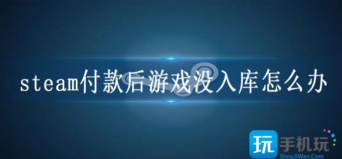 steam付款后游戏没入库怎么办