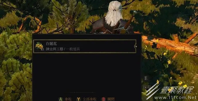 《巫师3》次世代版白屈花如何获取