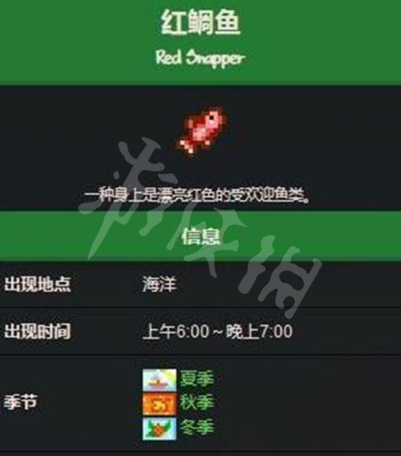 《星露谷物语》红鲷鱼怎么获取？红鲷鱼获取方法介绍