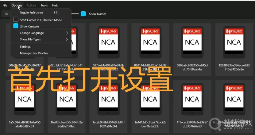 《塞尔达传说：王国之泪》模拟器设置中文教程