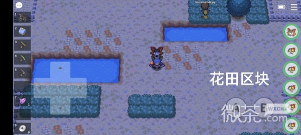 《Pokemmo》成都地区狩猎地带宝可梦位置详情