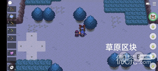 《Pokemmo》成都地区狩猎地带宝可梦位置详情