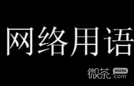 电子越共梗是什么意思详情