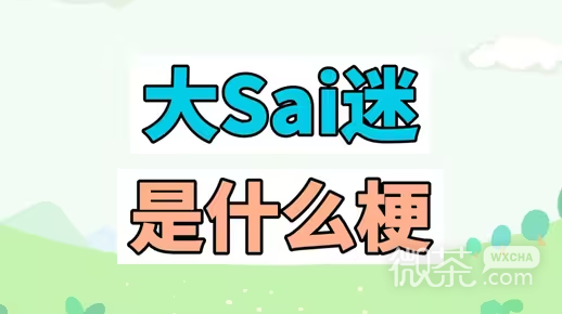 大SAI迷梗是什么意思详情