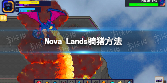 Nova Lands猪怎么骑