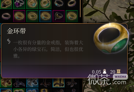 《博德之门3》金环带一览