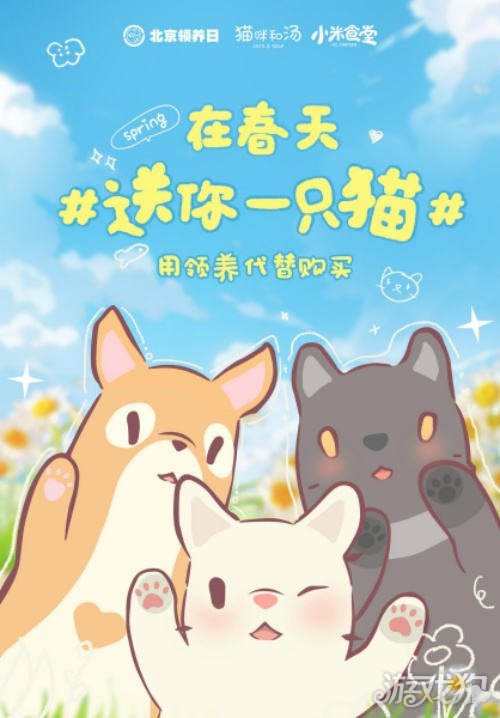 猫咪和汤x北京领养日x小米食堂 送你一只猫