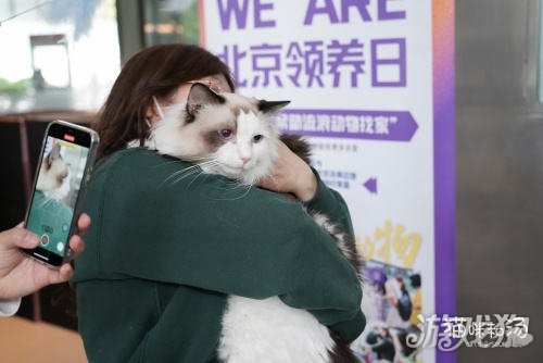 猫咪和汤x北京领养日x小米食堂 送你一只猫