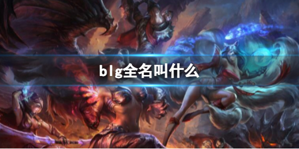 blg全名叫什么