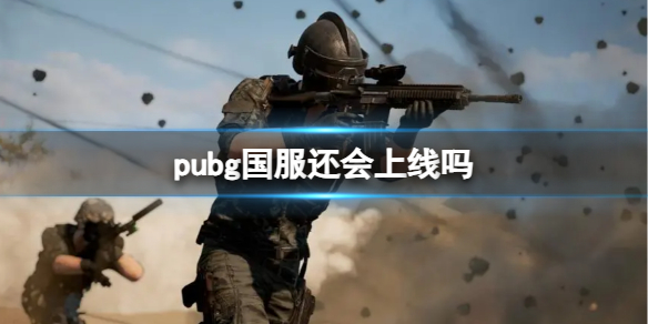 pubg国服还会上线吗