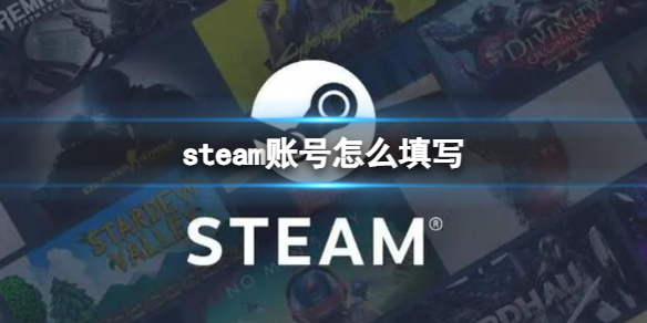 steam账号怎么填写