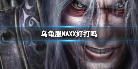 乌龟服NAXX好打吗