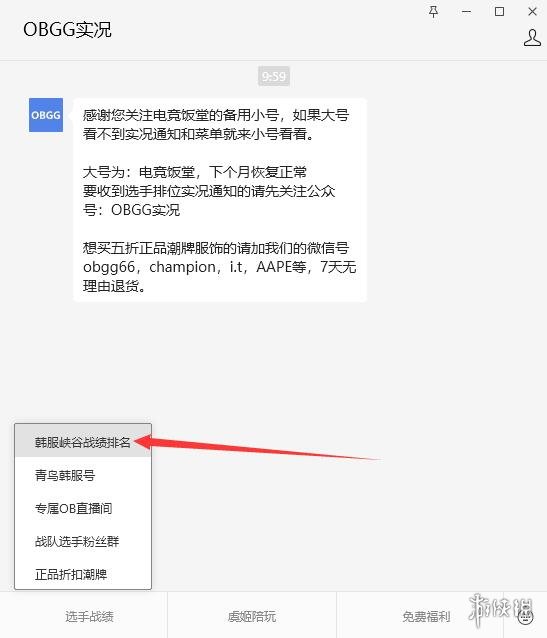 obgg怎么看职业选手战队信息