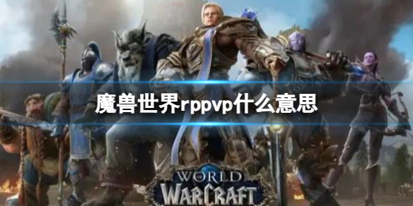 魔兽世界rppvp什么意思