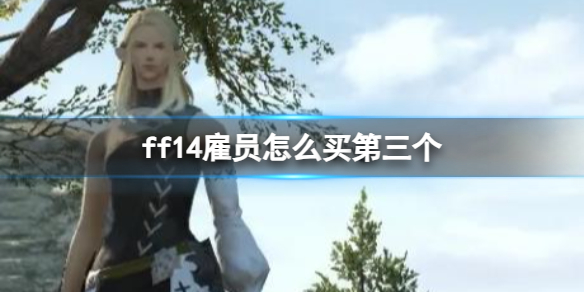 ff14雇员怎么买第三个