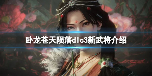 卧龙苍天陨落dlc3新武将介绍