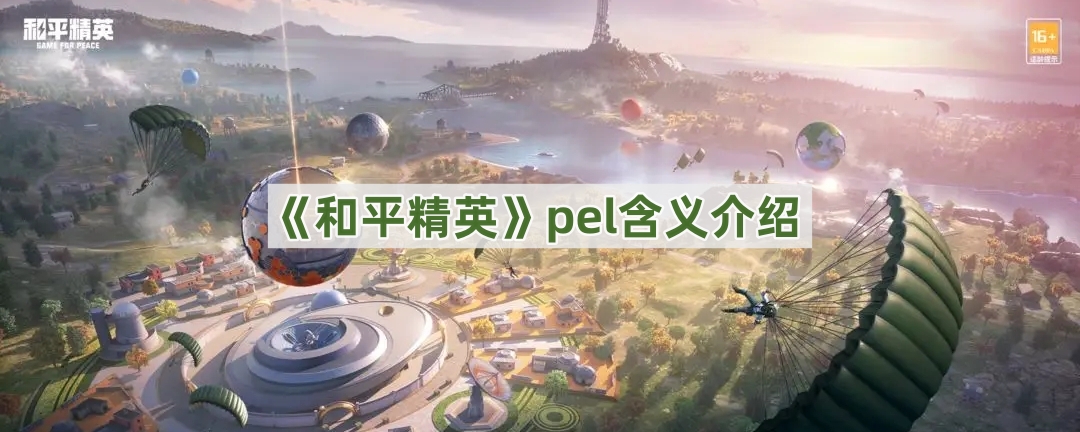 和平精英pel是什么意思