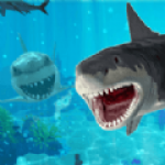 大白鲨的生活模拟器