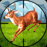 狙击普通的鹿