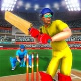 T20板球联赛2021安卓版