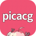 picacg绘画器安卓版