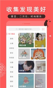 堆糖app截图3