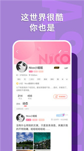 Nico截图1