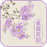紫薇花园安卓版