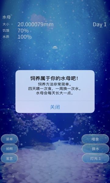 治愈的养成水母截图2