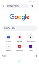 谷歌浏览器官方版截图1