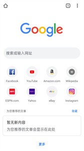 谷歌浏览器纯净版截图3